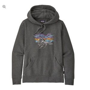 PATAGONIA Raindrop Peak Ahnya Hoodie Sweater Size M